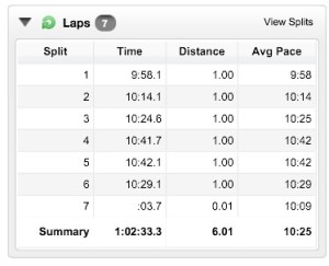 Slow and steady 6 mile run, leg felt great!