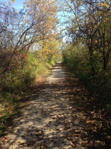 0.3 miles into lap 2, pretty colors