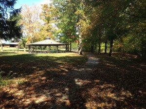 2.5 miles into my run