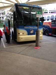 Magical express from the airport to the hotel