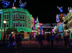 Osborne Family Lights, so so pretty to run through.